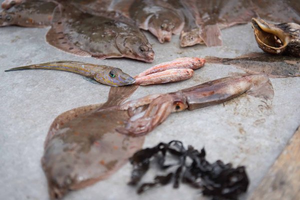 Comment utiliser l'analyse prédictive pour anticiper les besoins en compétences futures en management ?